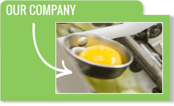 Our Company