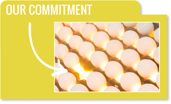 Our Commitment